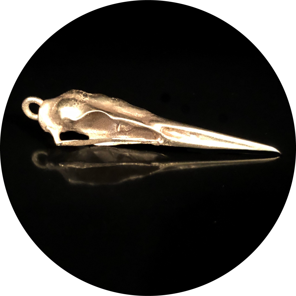 Great Blue Heron Skull - Project Street Gold